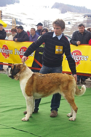 Kynologická revue - www.dogsk.sk