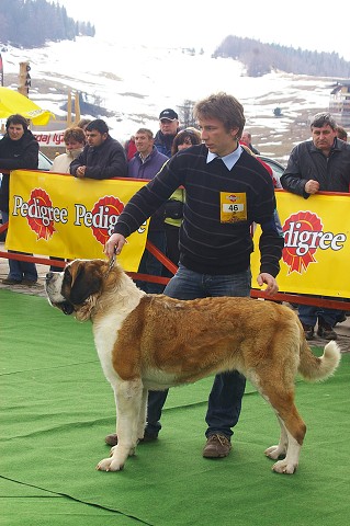 Kynologická revue - www.dogsk.sk