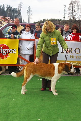 Kynologická revue - www.dogsk.sk