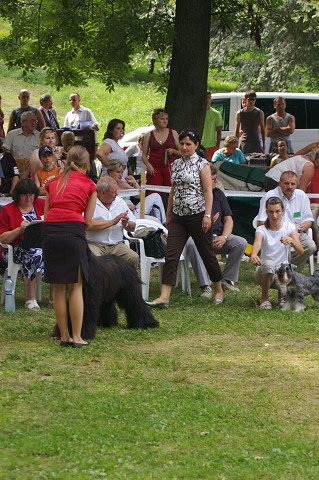 Kynologická revue - www.dogsk.sk