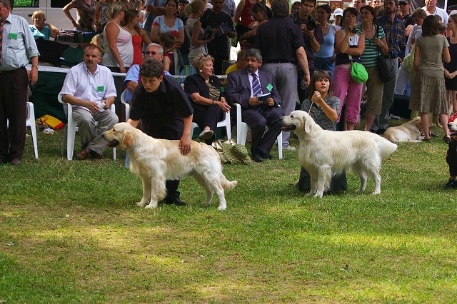 Kynologická revue - www.dogsk.sk