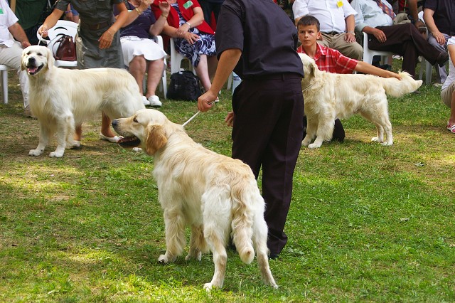 Kynologická revue - www.dogsk.sk