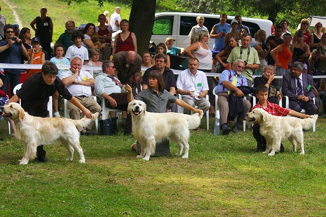 Kynologická revue - www.dogsk.sk
