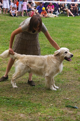 Kynologická revue - www.dogsk.sk