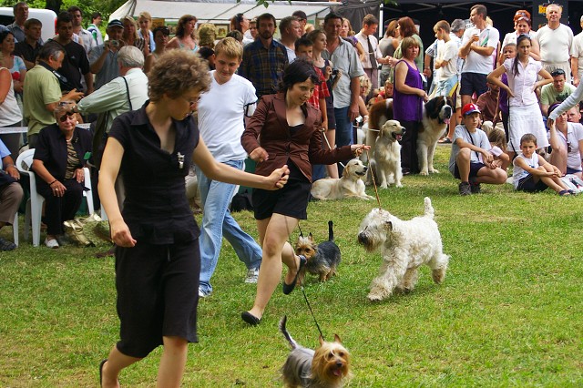 Kynologická revue - www.dogsk.sk