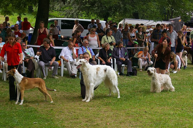 Kynologická revue - www.dogsk.sk