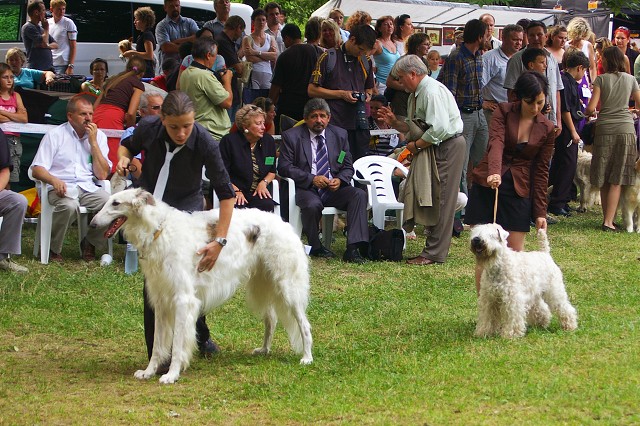 Kynologická revue - www.dogsk.sk