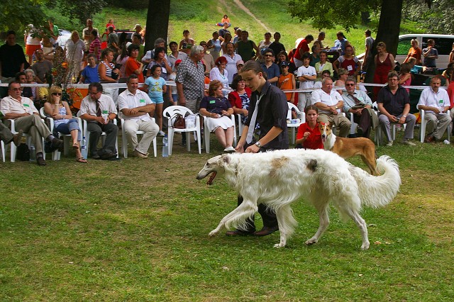 Kynologická revue - www.dogsk.sk