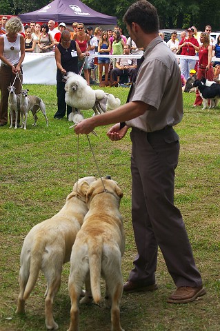 Kynologická revue - www.dogsk.sk