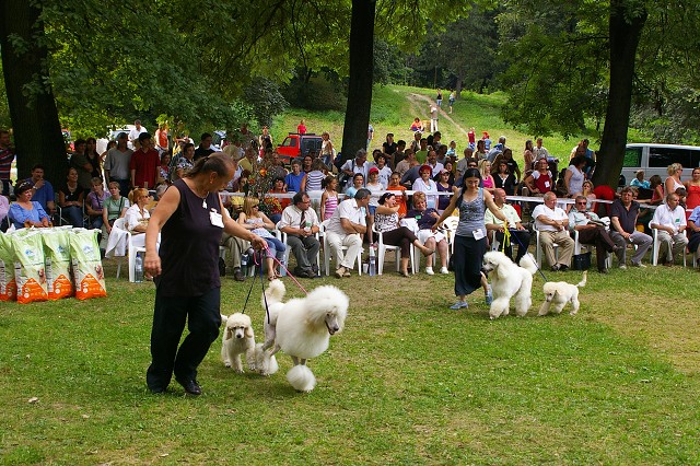 Kynologická revue - www.dogsk.sk