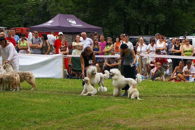 Kynologická revue - www.dogsk.sk