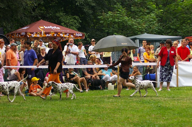 Kynologická revue - www.dogsk.sk