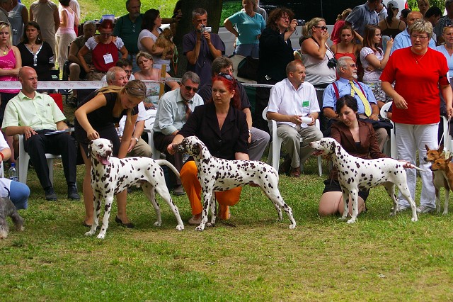 Kynologická revue - www.dogsk.sk