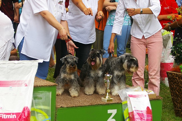Kynologická revue - www.dogsk.sk
