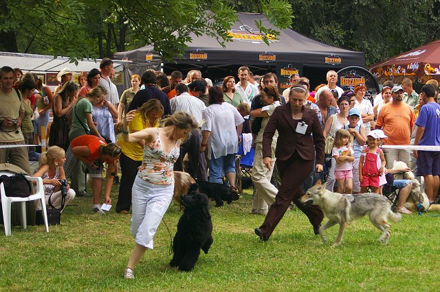 Kynologická revue - www.dogsk.sk