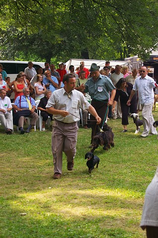 Kynologická revue - www.dogsk.sk
