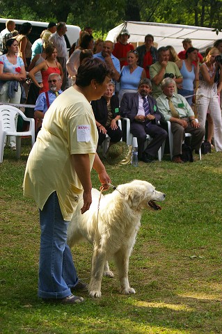 Kynologická revue - www.dogsk.sk