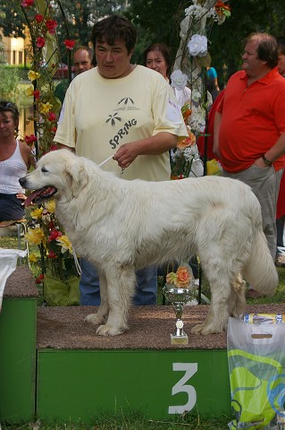 Kynologická revue - www.dogsk.sk