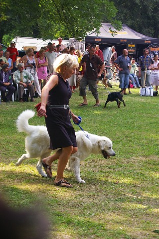 Kynologická revue - www.dogsk.sk