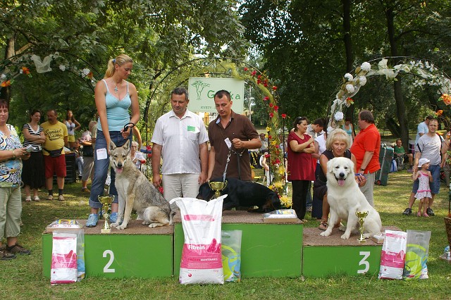 Kynologická revue - www.dogsk.sk