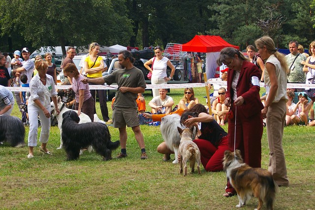 Kynologická revue - www.dogsk.sk