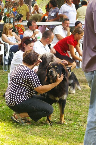 Kynologická revue - www.dogsk.sk