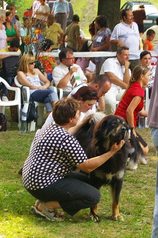 Kynologická revue - www.dogsk.sk