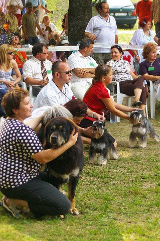 Kynologická revue - www.dogsk.sk