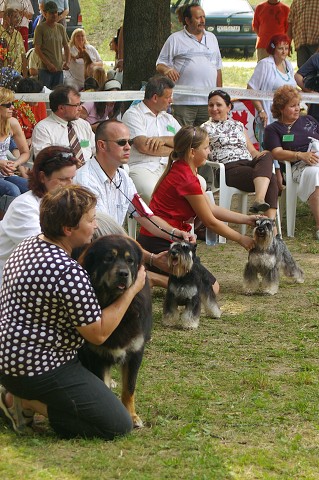 Kynologická revue - www.dogsk.sk