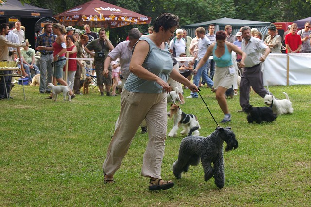 Kynologická revue - www.dogsk.sk