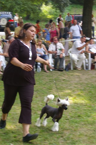 Kynologická revue - www.dogsk.sk