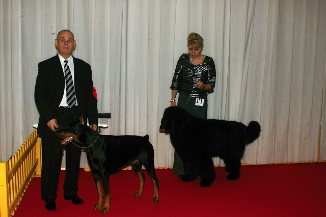 Kynologická revue - www.dogsk.sk