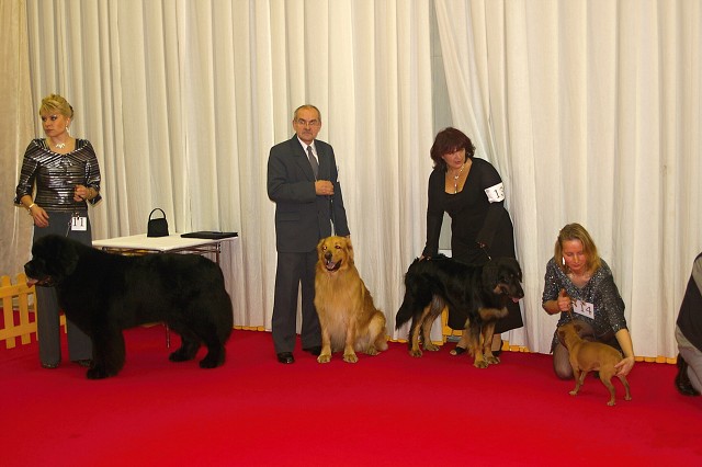 Kynologická revue - www.dogsk.sk