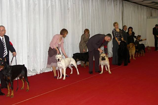 Kynologická revue - www.dogsk.sk