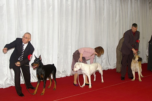 Kynologická revue - www.dogsk.sk