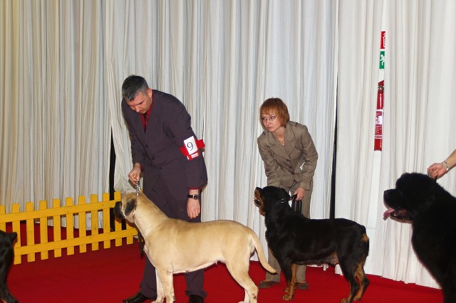 Kynologická revue - www.dogsk.sk