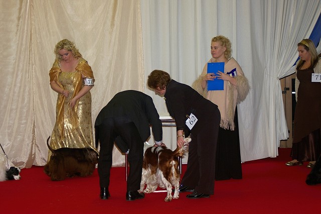 Kynologická revue - www.dogsk.sk