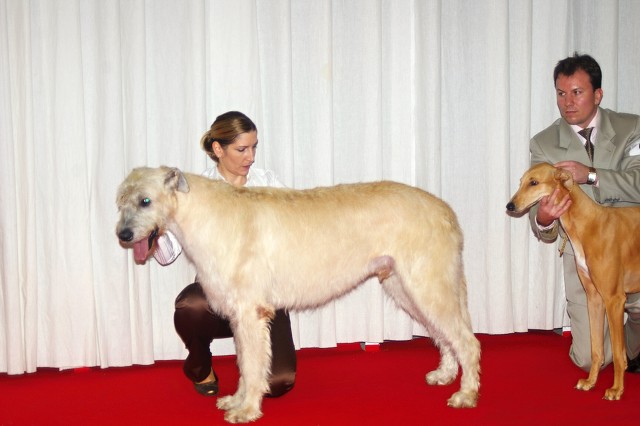 Kynologická revue - www.dogsk.sk