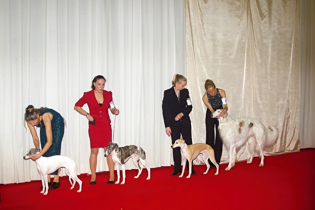 Kynologická revue - www.dogsk.sk