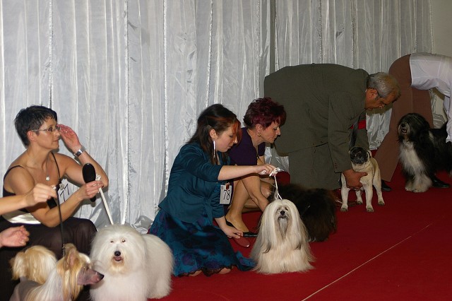 Kynologická revue - www.dogsk.sk