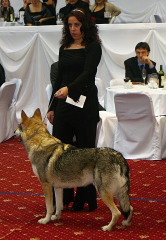 Kynologická revue - www.dogsk.sk