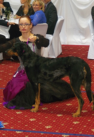 Kynologická revue - www.dogsk.sk