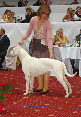 Kynologická revue - www.dogsk.sk