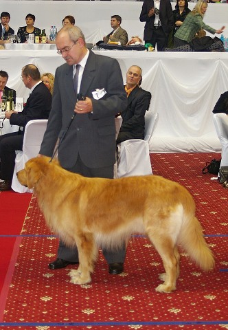 Kynologická revue - www.dogsk.sk