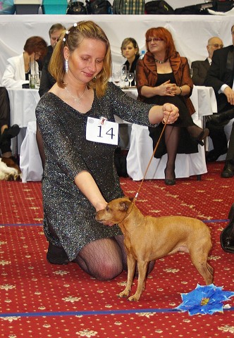 Kynologická revue - www.dogsk.sk