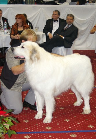 Kynologická revue - www.dogsk.sk