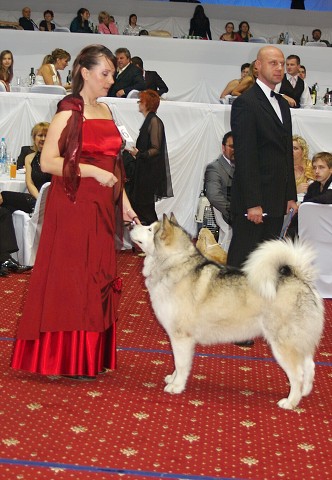 Kynologická revue - www.dogsk.sk