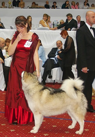 Kynologická revue - www.dogsk.sk