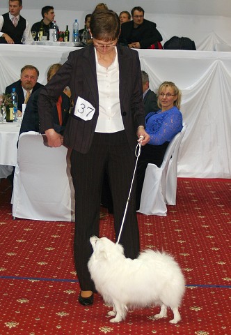 Kynologická revue - www.dogsk.sk