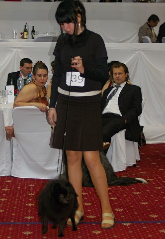 Kynologická revue - www.dogsk.sk
